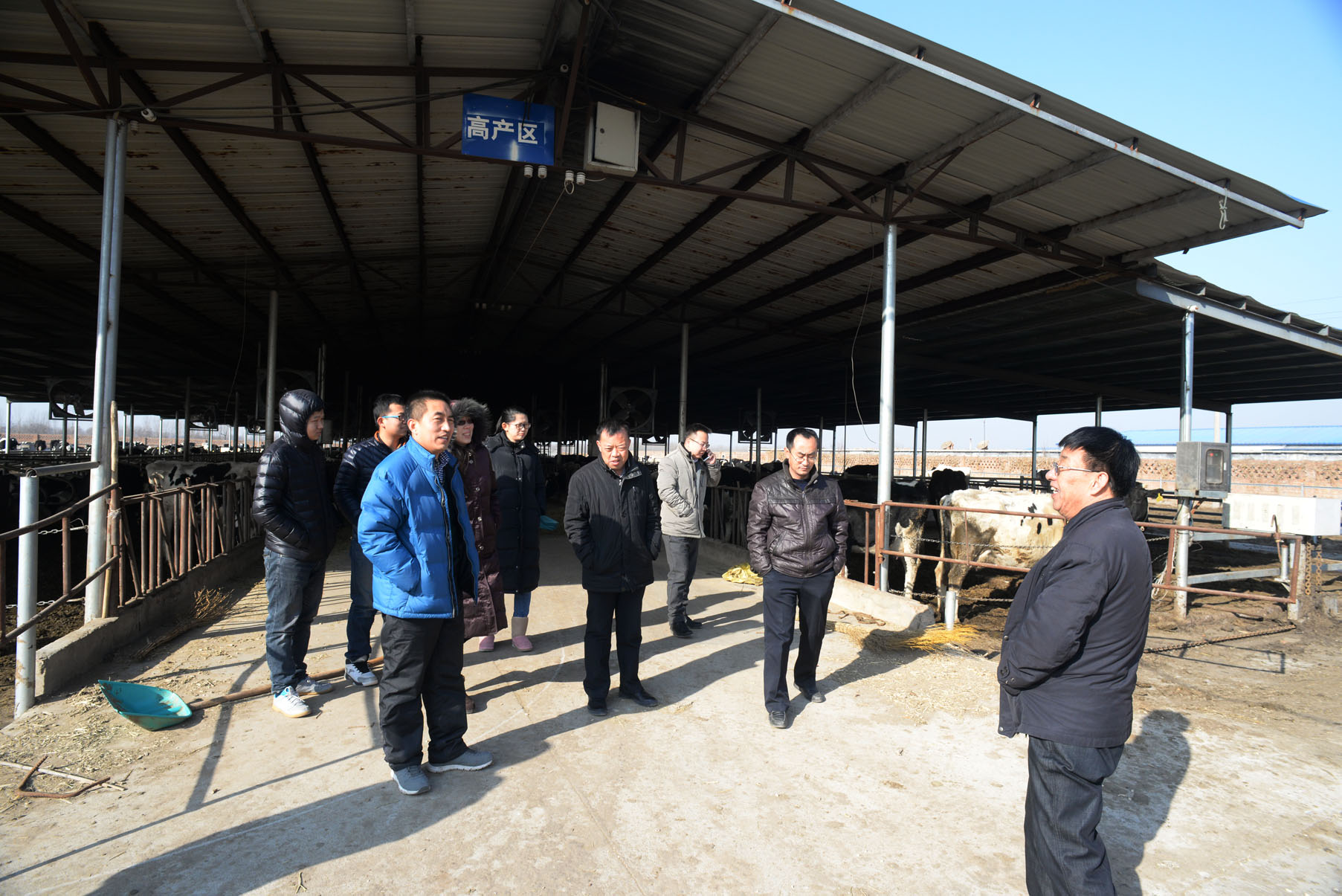 ��ţ��ֳ��